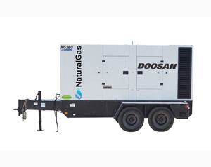 Doosan NG225 Natural Gas 178kW Generator