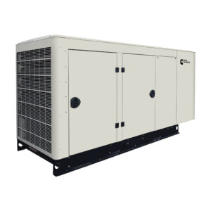 100kW Cummins LP/NG Generator - Model C100N6